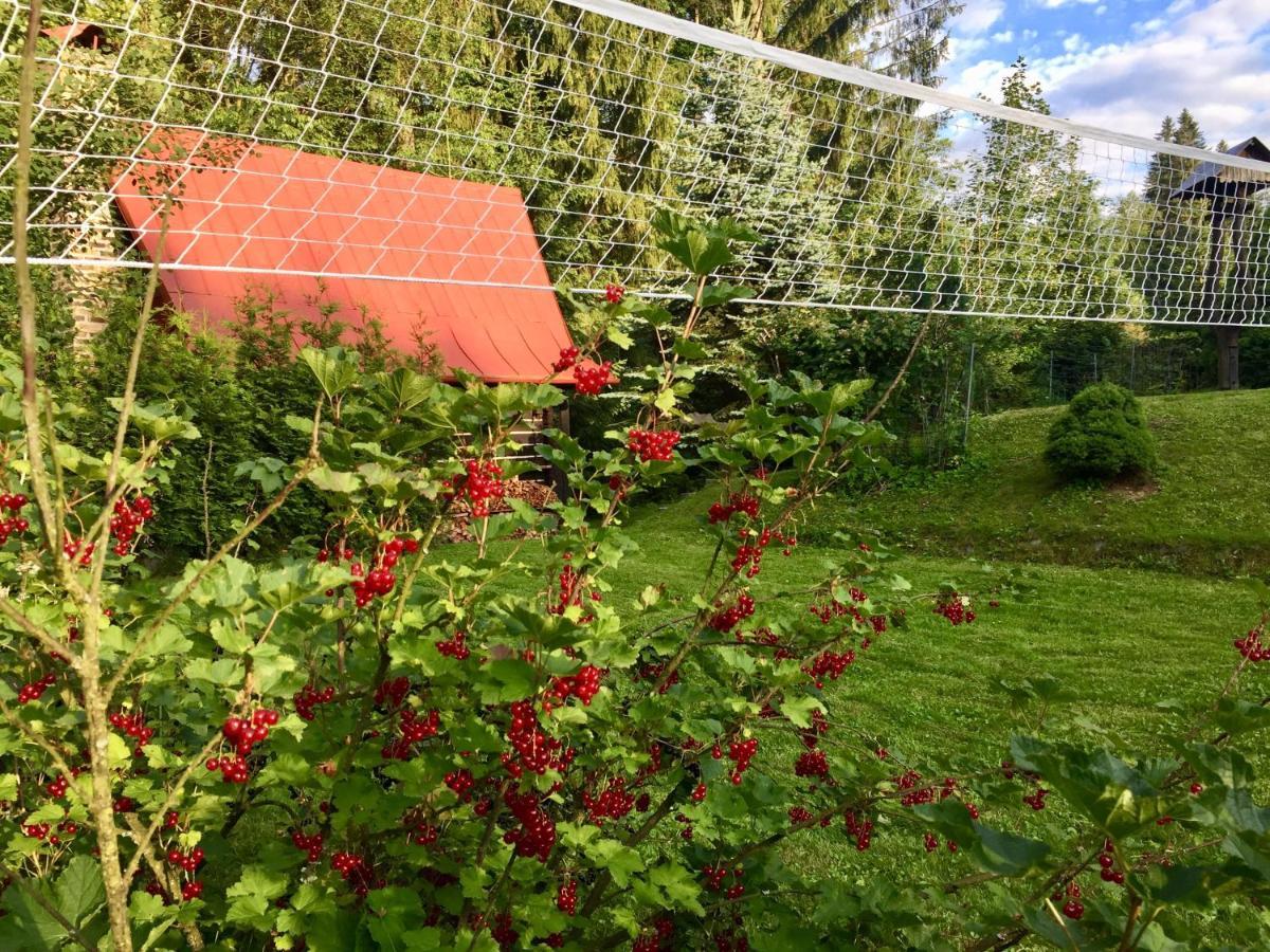 Chata Fortuna Dolní Lomná Esterno foto